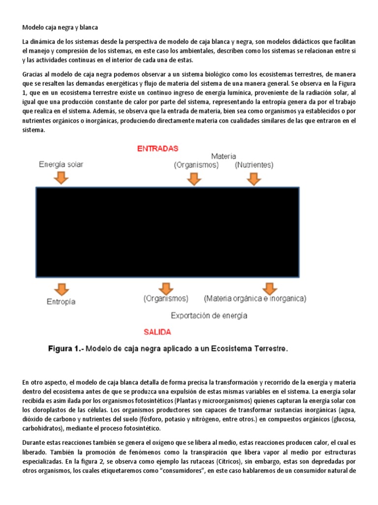 Modelo Caja Negra y Blanca | PDF | Fotosíntesis | Plantas