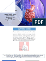 Diapositivas de Seminario 1 de Fisiología Humana