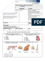 Prueba Sistemas Ciencias 5 Año Basico