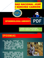 Endemias y Epidemias Expo Ok (1)