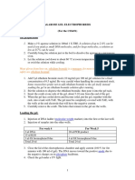 Agarose Gel Electrophoresis Guide