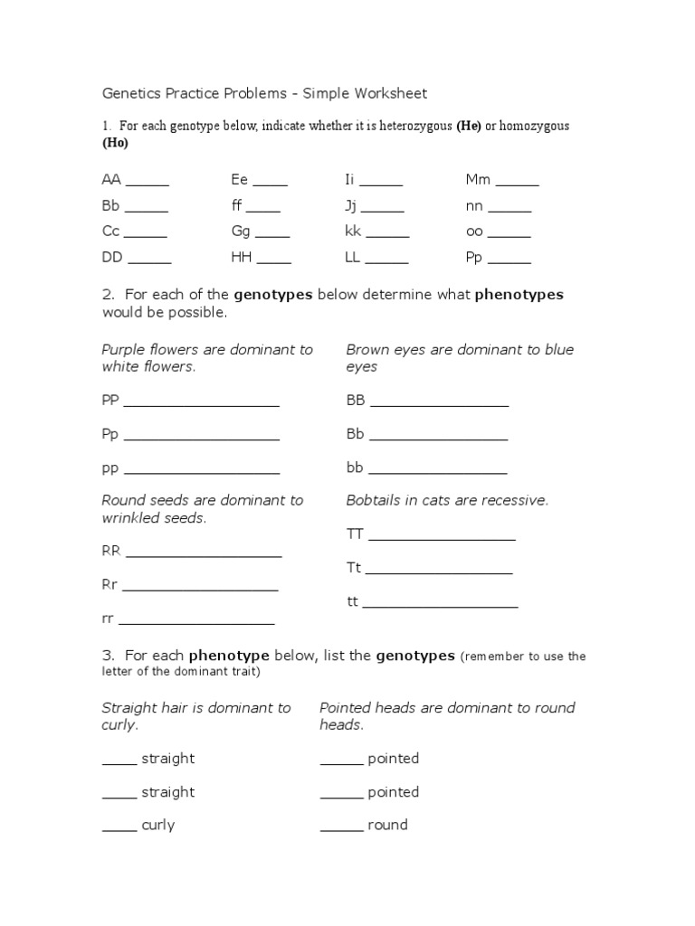 biogenepracsimple.doc  Zygosity  Dominance (Genetics) Intended For Genetics Practice Problems Simple Worksheet