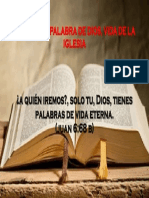 Palabra de Dios