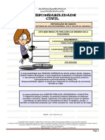 Entendeu Direito Ou Quer Que Desenhe - RESPONSABILIDADE CIVIL DO ESTADO PDF