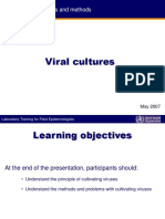 Viral Cultures: Investigation Strategies and Methods