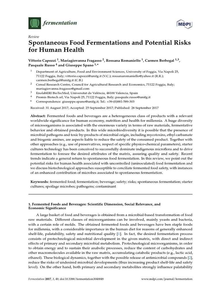 Spontaneous Food Fermentations and Potential Risks For Human Health ...