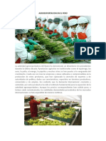 Agroexportacion en El Perú