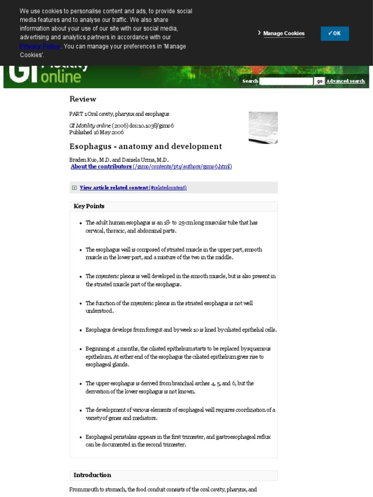 Esophagus Anatomy And Development Gi Motility Online Pdf