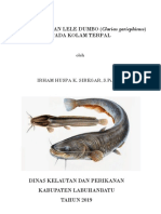 Budidaya Ikan Lele Dumbo (Clarias Gariephinus) Di Kolam Terpal