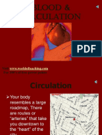 Blood and Circulation LECTURE