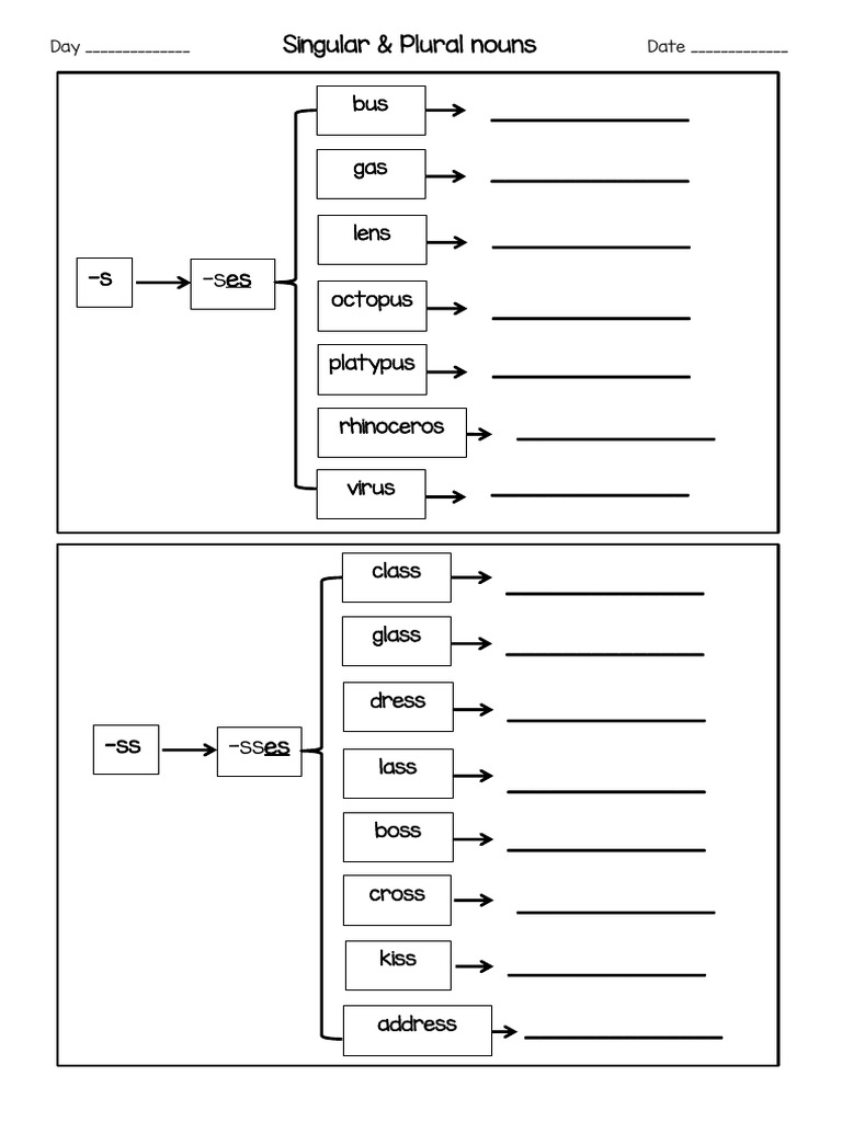 Singular Nouns and Plural Nouns | PDF | Plural | Syntactic Relationships