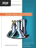 Gabriel Tobias 1º ano01