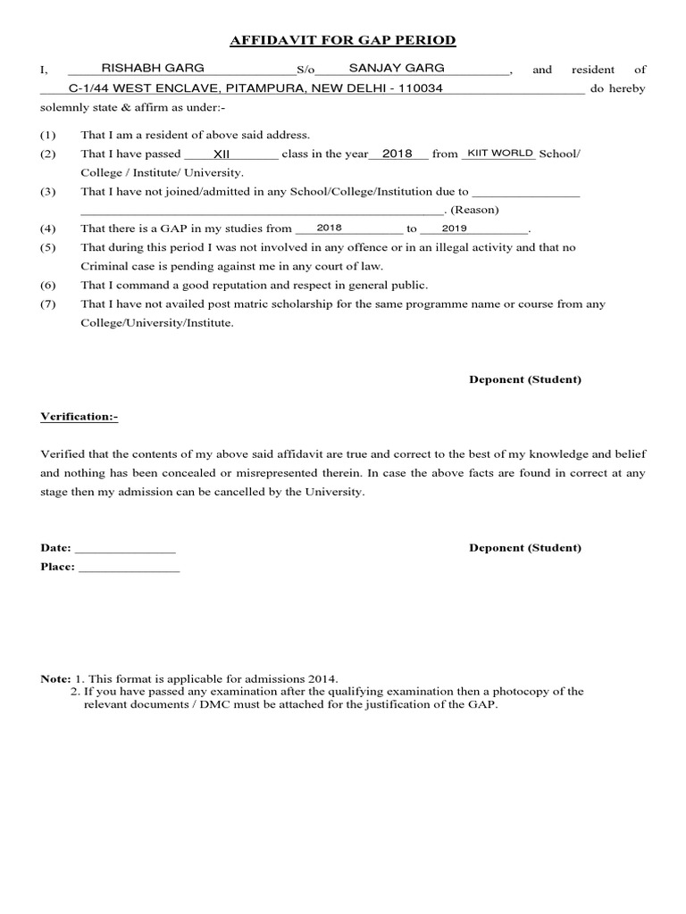 Gap Year Affidavit PDF Affidavit Judiciaries