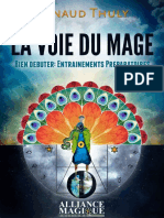 La Voie Du Mage_ Bien Debuter - - Arnaud Thuly