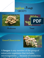 Kingdom Fungi New Microsoft Office PowerPoint Presentation