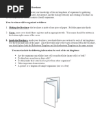 Kingdoms Notes and Brochure Activity PDF