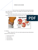 LP Infeksi Saluran Kemih
