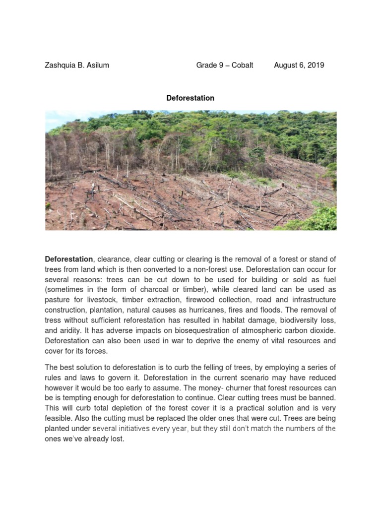 Understanding Deforestation Causes and Solutions | PDF