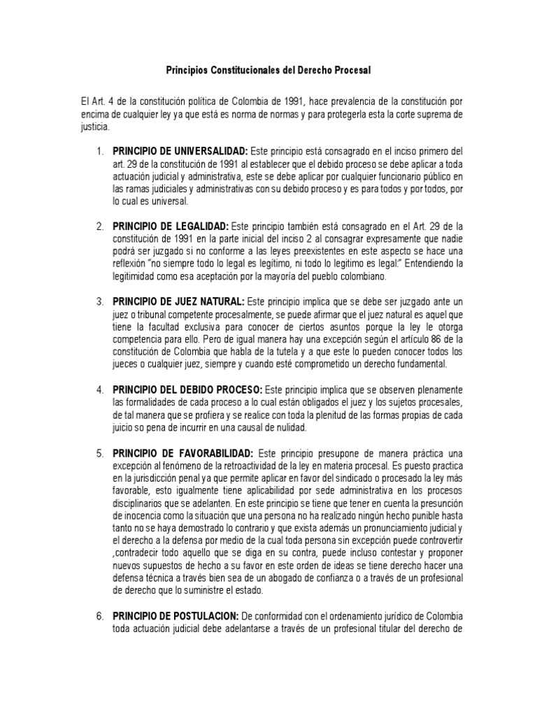 Principios Constitucionales Del Derecho Procesal | PDF | Debido al ...