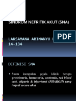 SNA Case 3