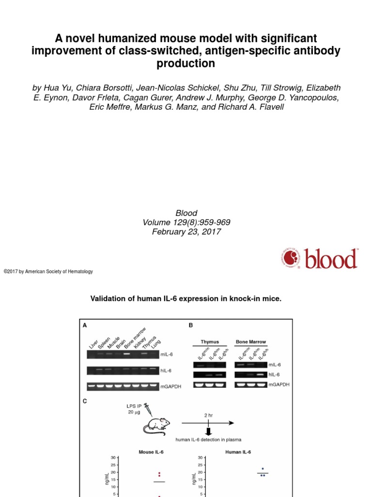 A Novel Humanized Mouse Model With Significant Improvement of Class ...