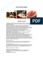 CULTIVO_CARPA2.pdf