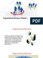 Introduction To Organizational Behaviour