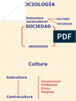 Sociologia (Normas y Cultura)