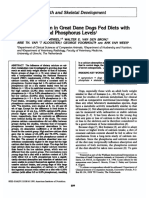 Calcium Metabolism in Great Dane Dogs Fed Diets With Various Calcium and Phophorus Levels