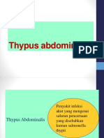 1a. Thypus Abdominalis
