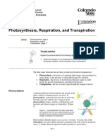 Photosynthesis, Transpiration and Respiration