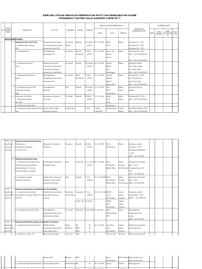 Contoh RPK Bulanan Puskesmas 2017 | PDF