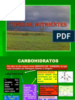 12820889-Nutrientes.ppt