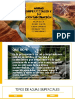 Aguas Superficiales y Su Contaminación