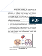 2.1 Review Anatomi Dan Fisiologi Otak