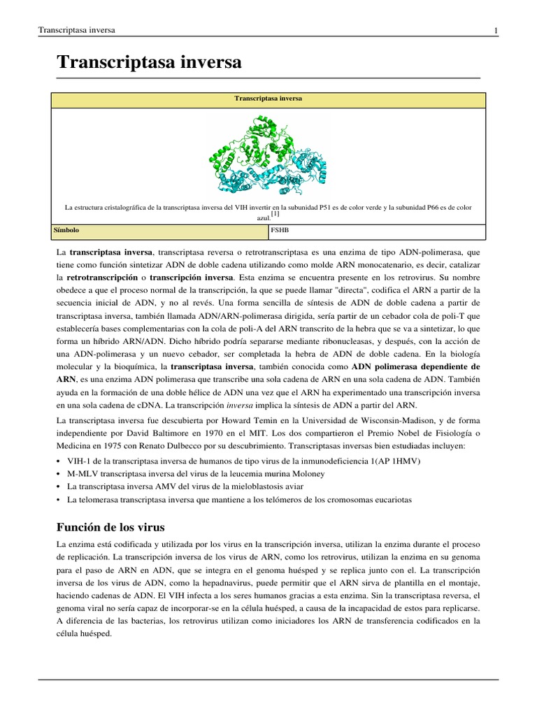 Transcriptasa | PDF | La transcriptasa inversa | Rna
