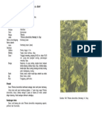 Kandungan Daun Insulin (Tithonia Diversifolia) PDF