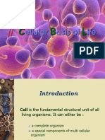Cellular Basis 1B