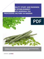 Model Business Plan For Moringa Processing To Tea PDF