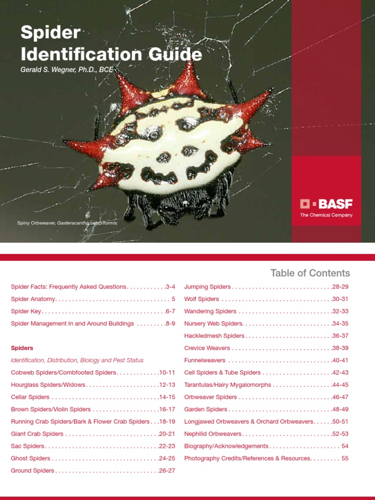(Gerald S. Wegner) Spider Identification Guide | PDF | Spider | Arachnids