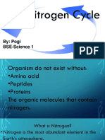The Nitrogen Cycle: By: Pogi BSE-Science 1