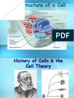 Cell Structure