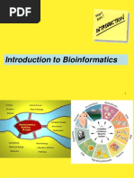 Introduction To Bioinformatics