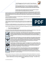Power of Full Engagement PDF