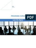 Programa Lean Six Sigma