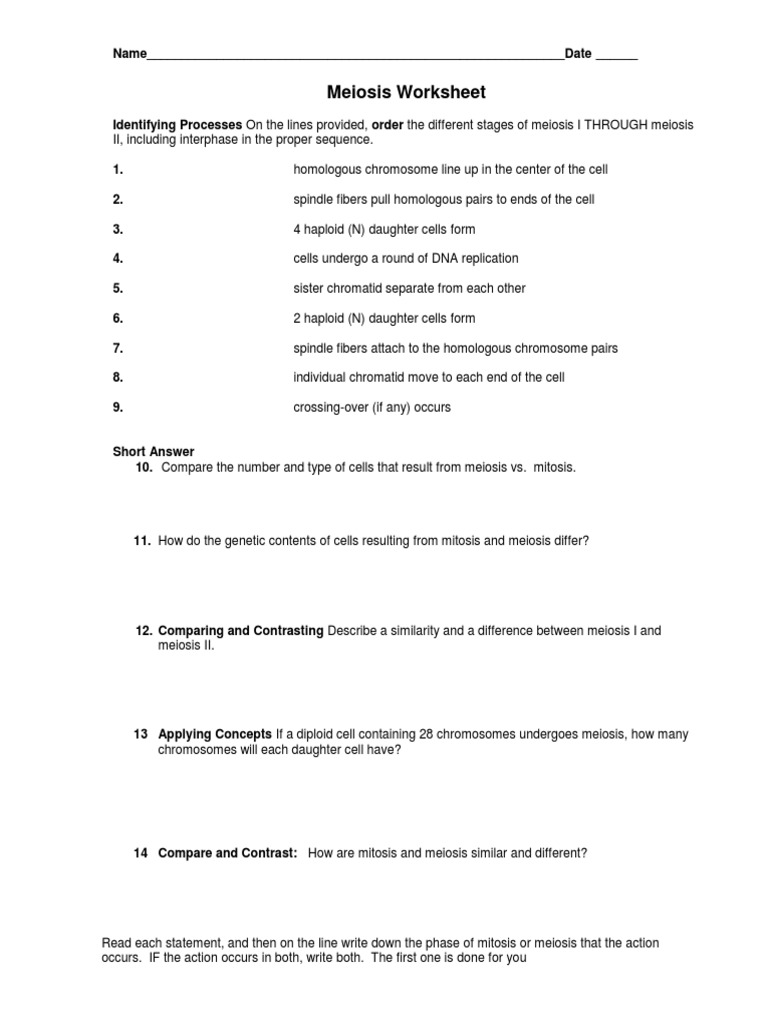 Meiosis Worksheet Meiosis Mitosis