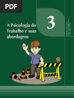 Psicologia Do Trabalho Aula_03