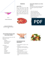 Leaflet CKD