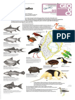 Geo U3 l95 Cuenca Del Lago Fauna PDF