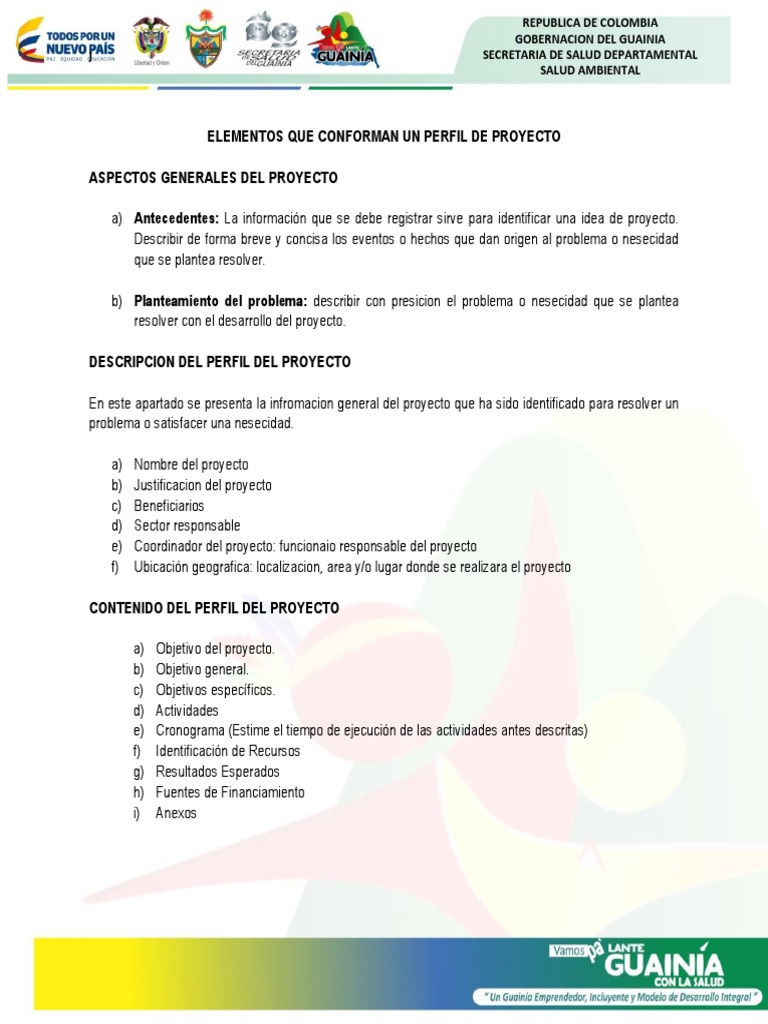 Elementos de un Perfil de Proyecto | PDF
